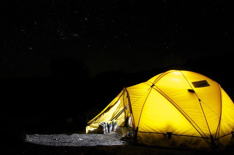 Campfire in the Wilderness